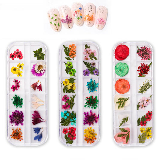 Dried Flower for Resin Nail DIY 3D Mini Nail Flower Decals