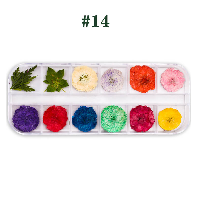 Dried Flower for Resin Nail DIY 3D Mini Nail Flower Decals