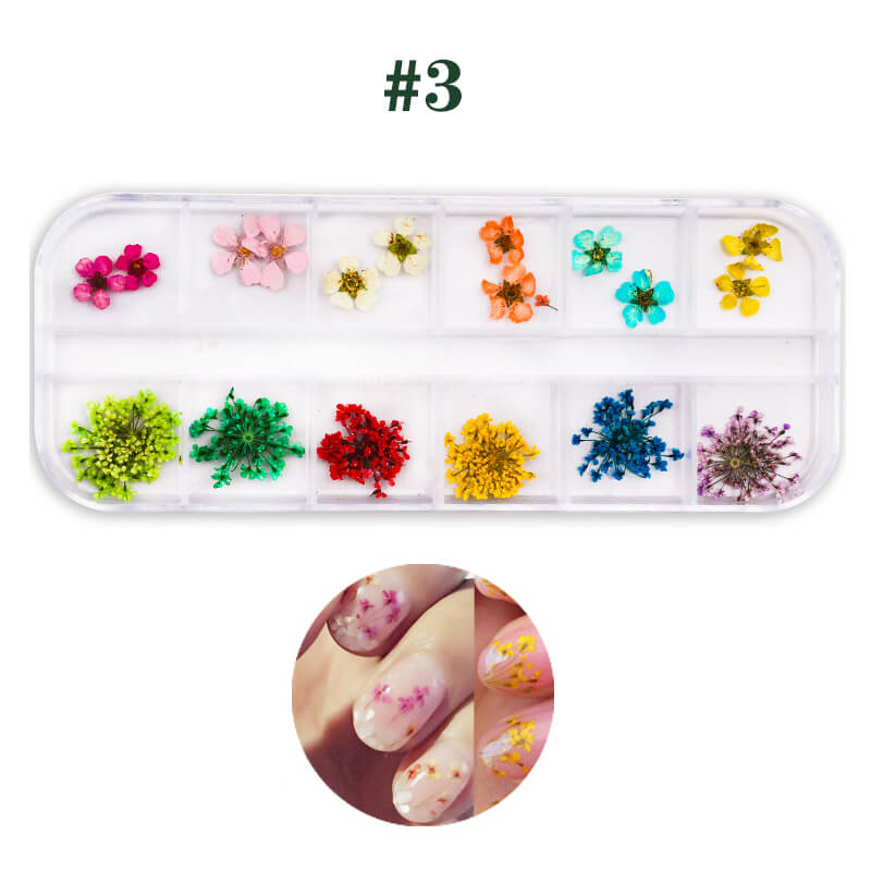 Dried Flower for Resin Nail DIY 3D Mini Nail Flower Decals