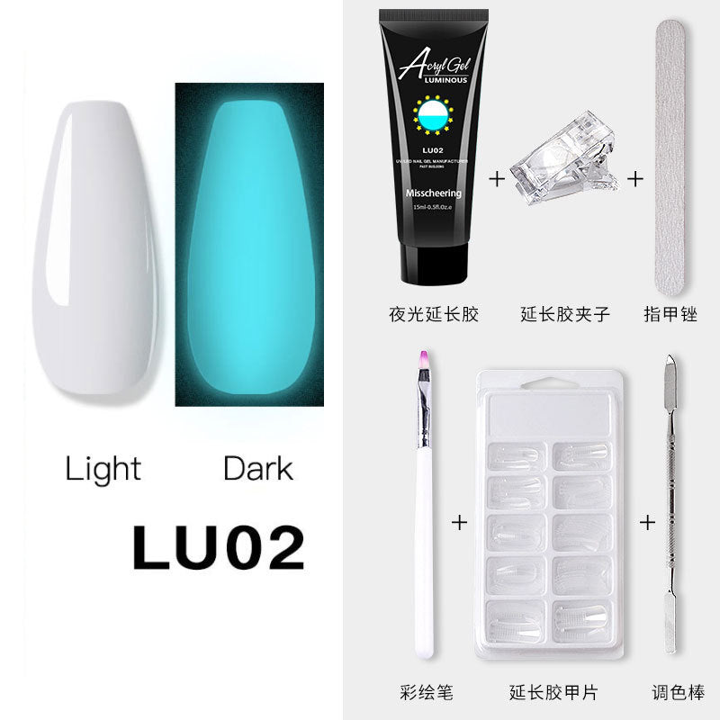 Luminous Poly Nails Gel Set  Extension Acrylic Gel Set Builder Nail Gel Kit