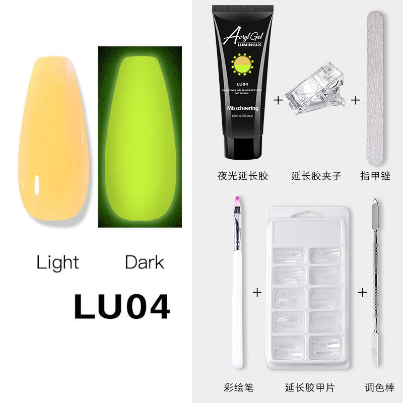 Luminous Poly Nails Gel Set  Extension Acrylic Gel Set Builder Nail Gel Kit